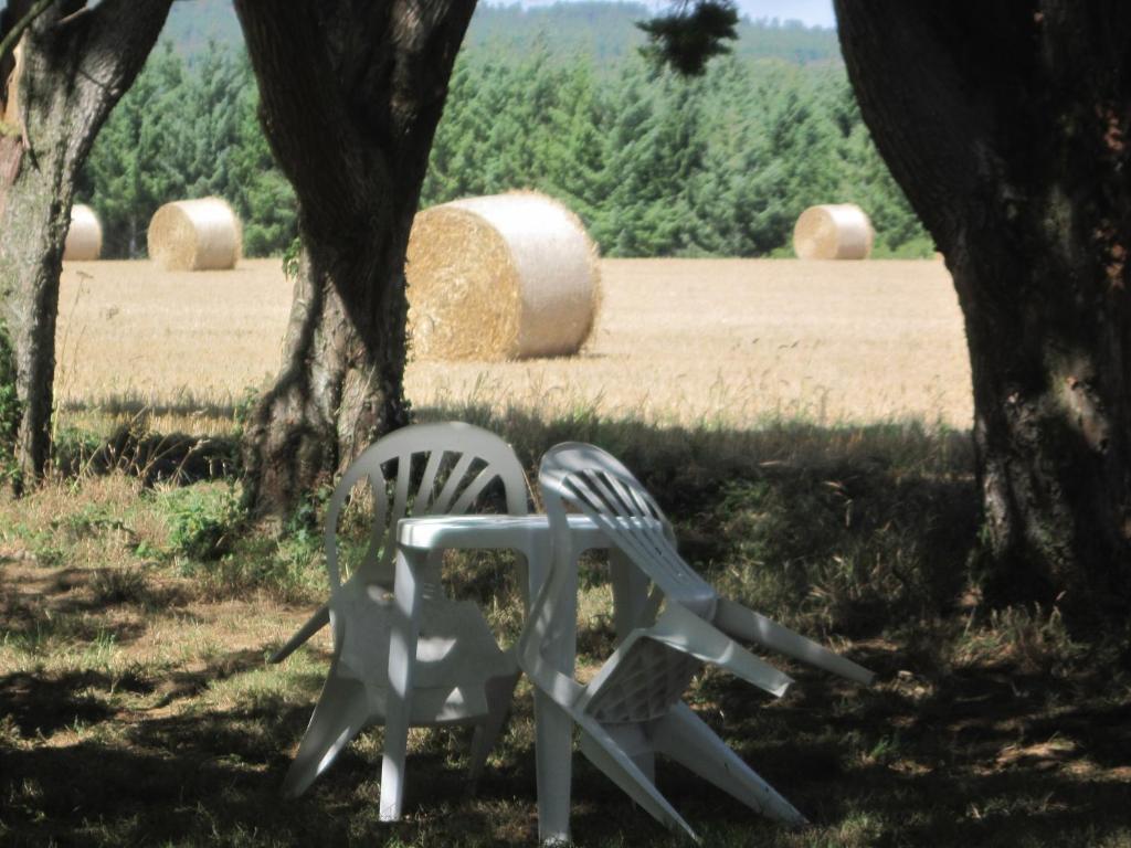 Le Relais De Porz Morvan Plomodiern Dış mekan fotoğraf